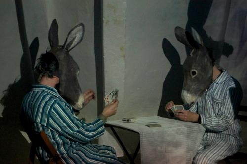 830239_482715685126308_2106675515_o